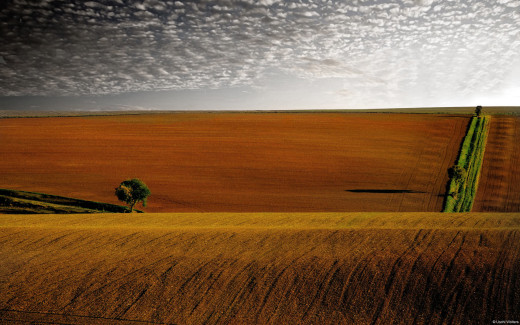 608750 (a): :1920x1200